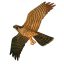 Peregrine Falcon Kite