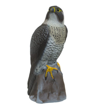 Perched Peregrine Falcon Decoy from Margo Supplies