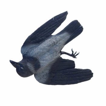 Dead Crow Decoy from Margo Supplies