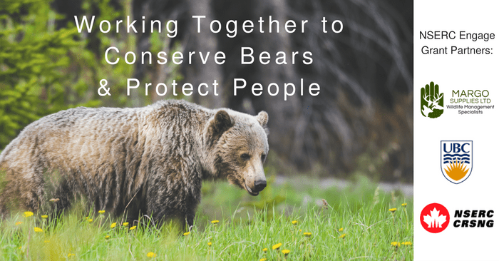 Preventing Human-Bear Conflicts With Computer Modeling Technology
