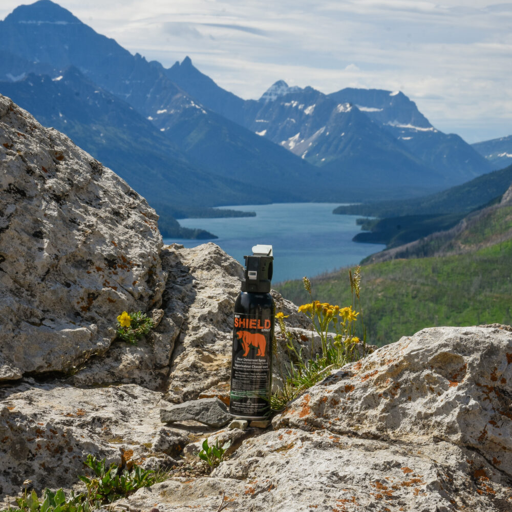 What is in Bear Spray and How Does it Work?