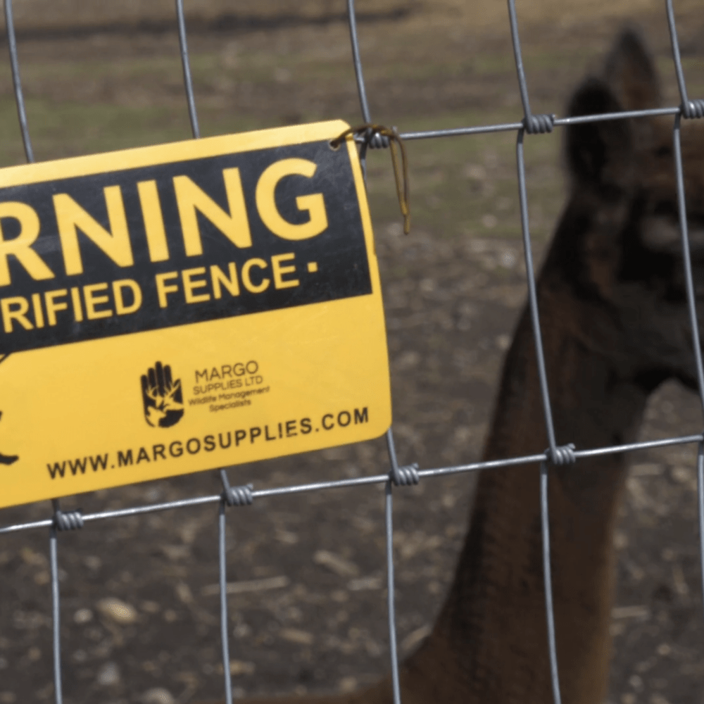 Using Electric Fencing to Manage Bear Conflict